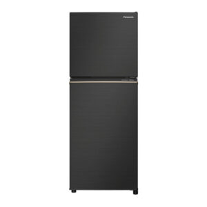 Panasonic NR-BP272VD 9.5 cu.ft. Two Door Refrigerator