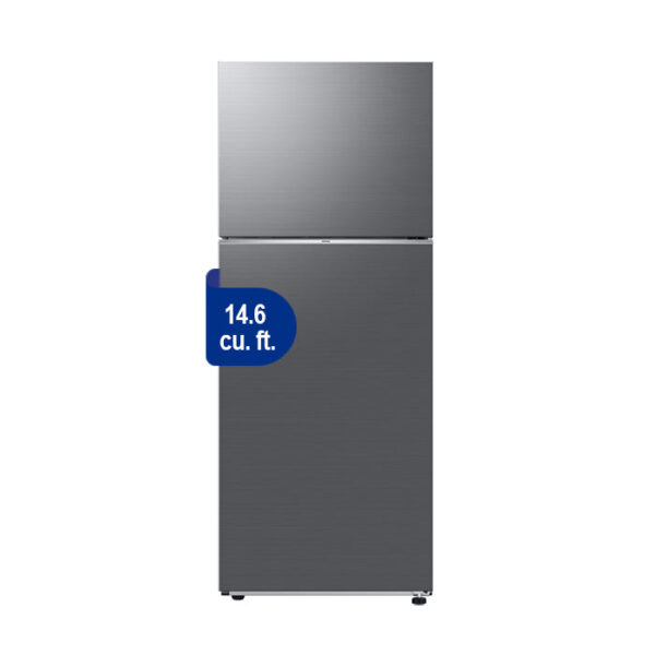 Samsung RT42CG6422S9TC 14.6 cu.ft. Two Door Refrigerator